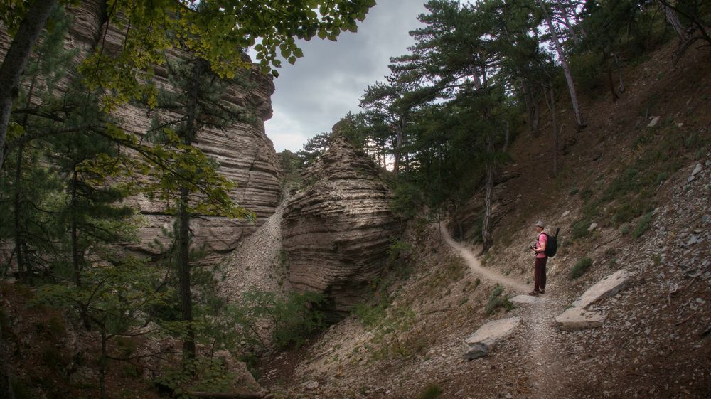 Знакомство с Таракташом.
