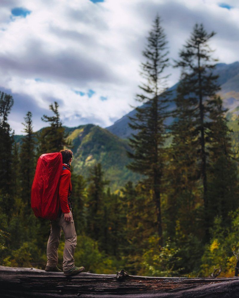 В сибирских джунглях
