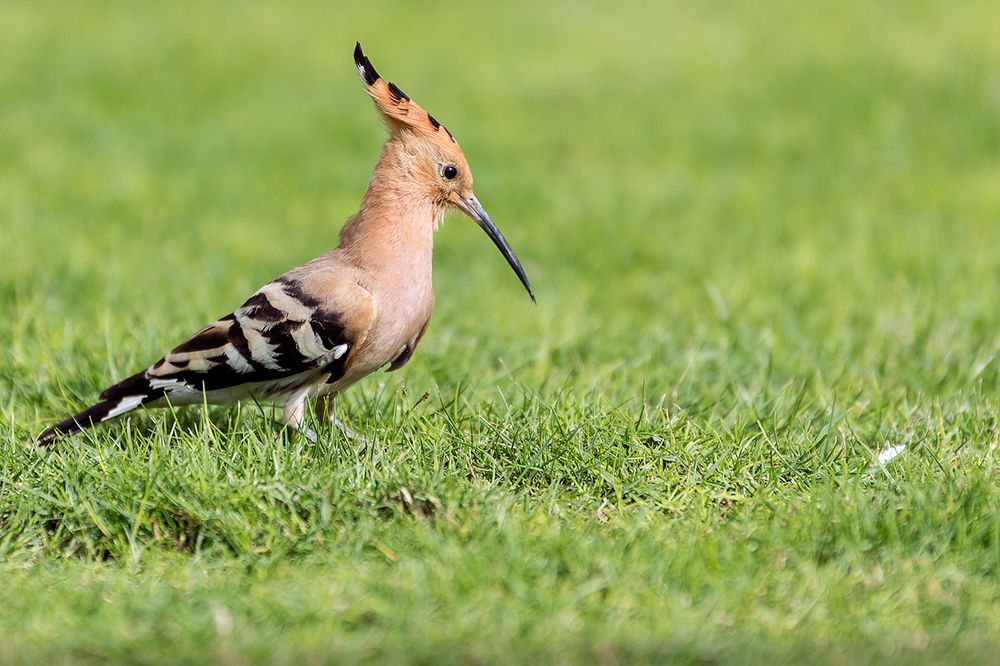 Photograph by Марина