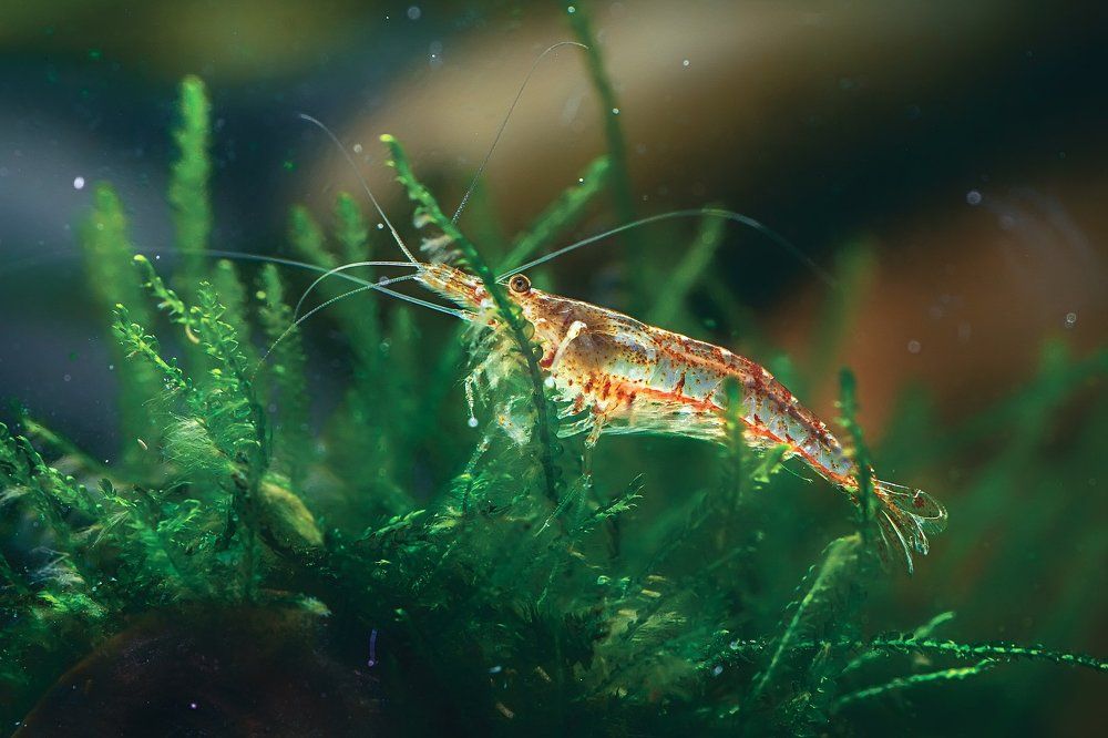 Photograph by Юрий Котов