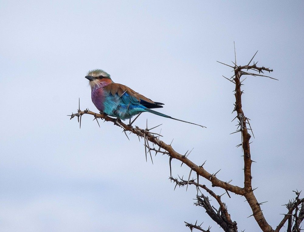 Colours upon colours upon colours