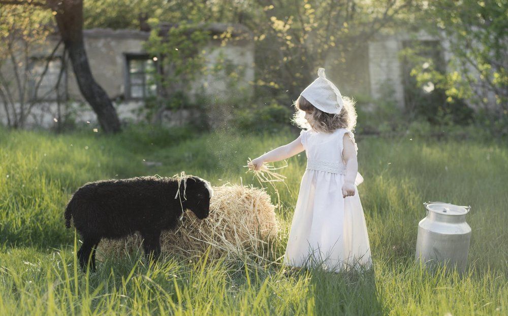 Девочка и барашек