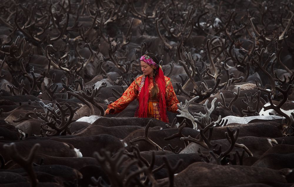 Дарья-дочь оленевода