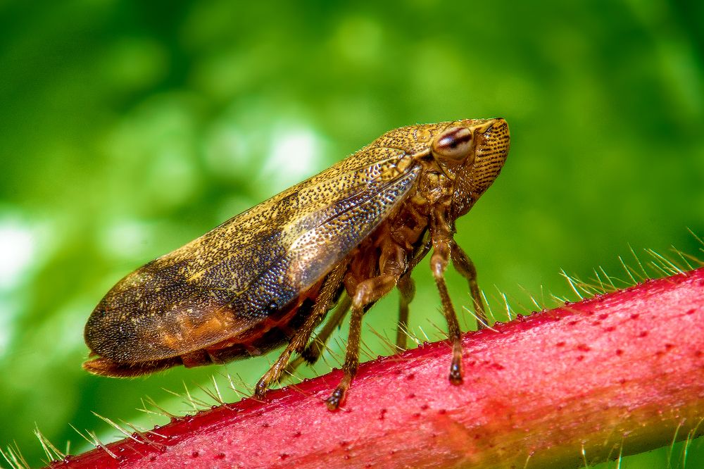 Путь наверх