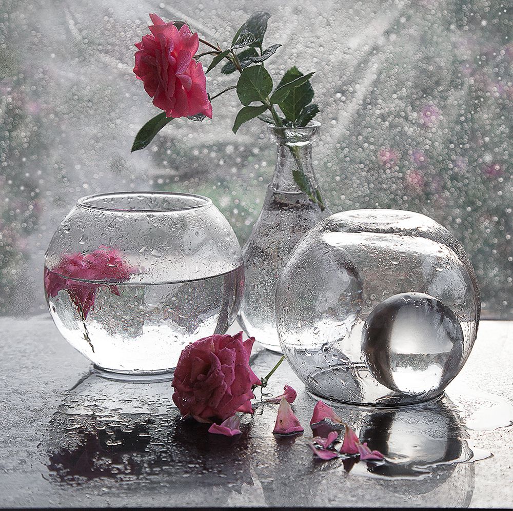 Летний дождь