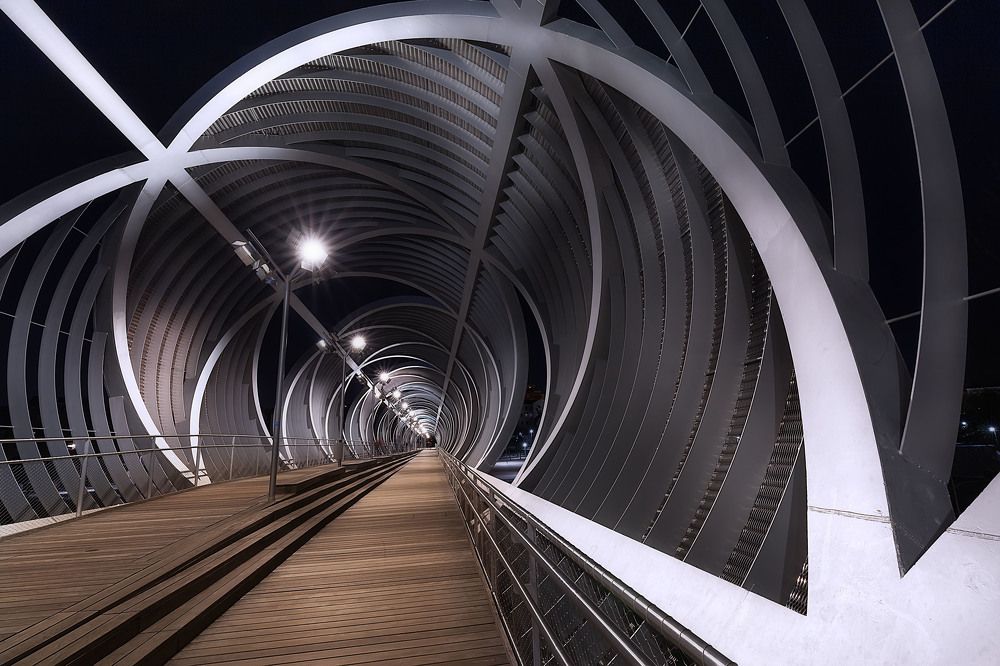 Bridge to the Future