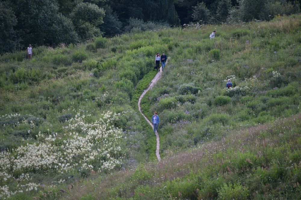 РАЗНОТРАВЬЕ