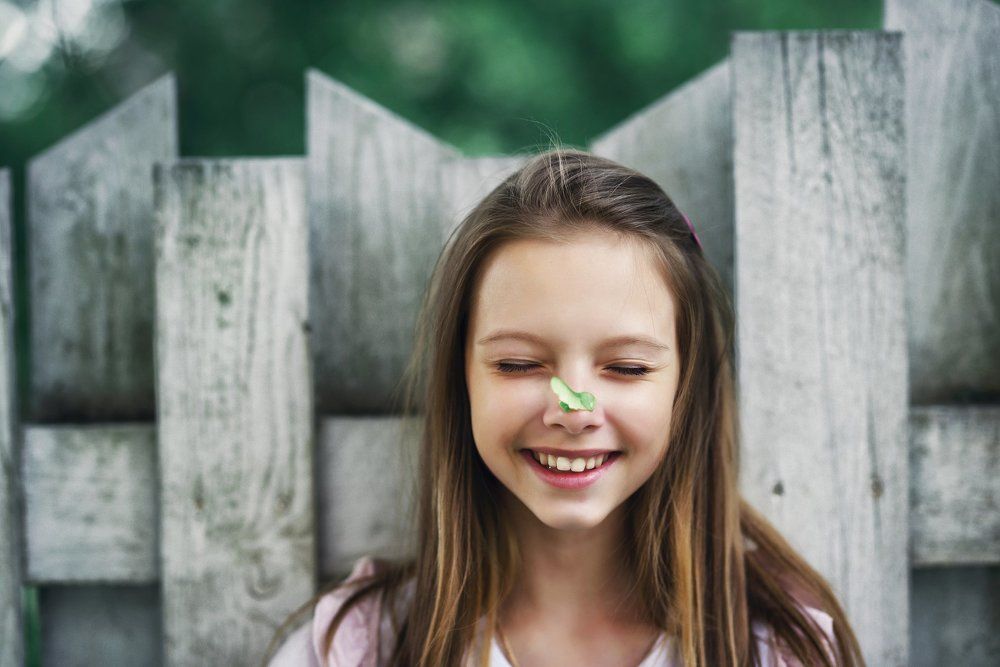 Кленовый носик