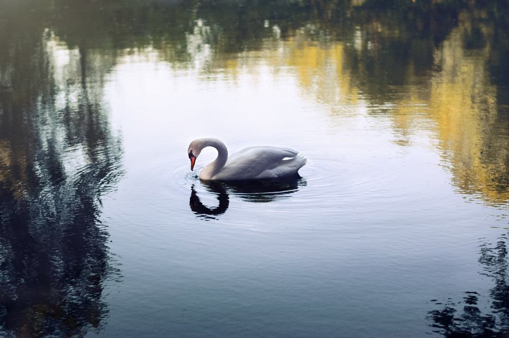 Photograph by Валерия Бунина