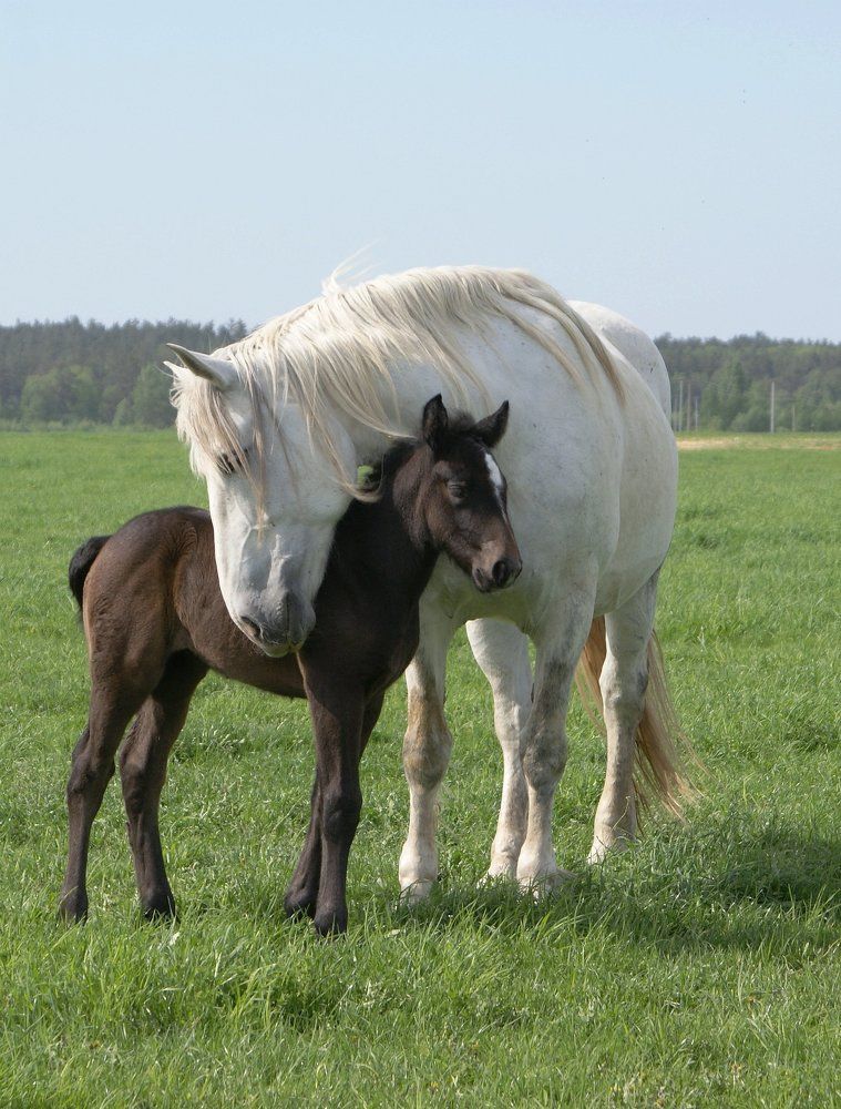 черный. обидно.