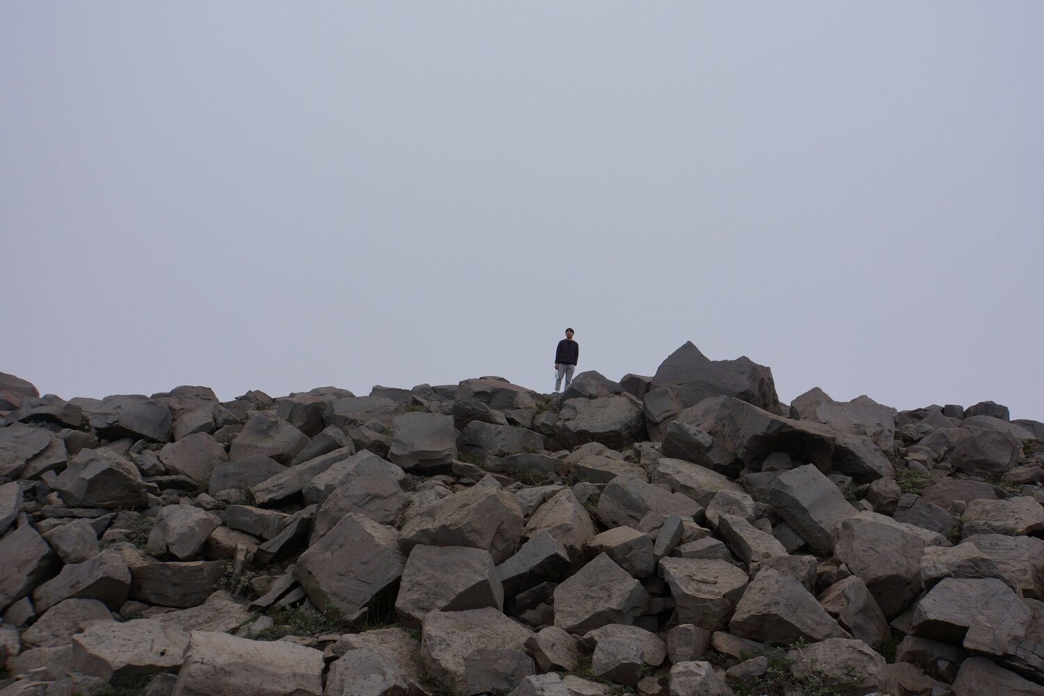 Photo #2551197