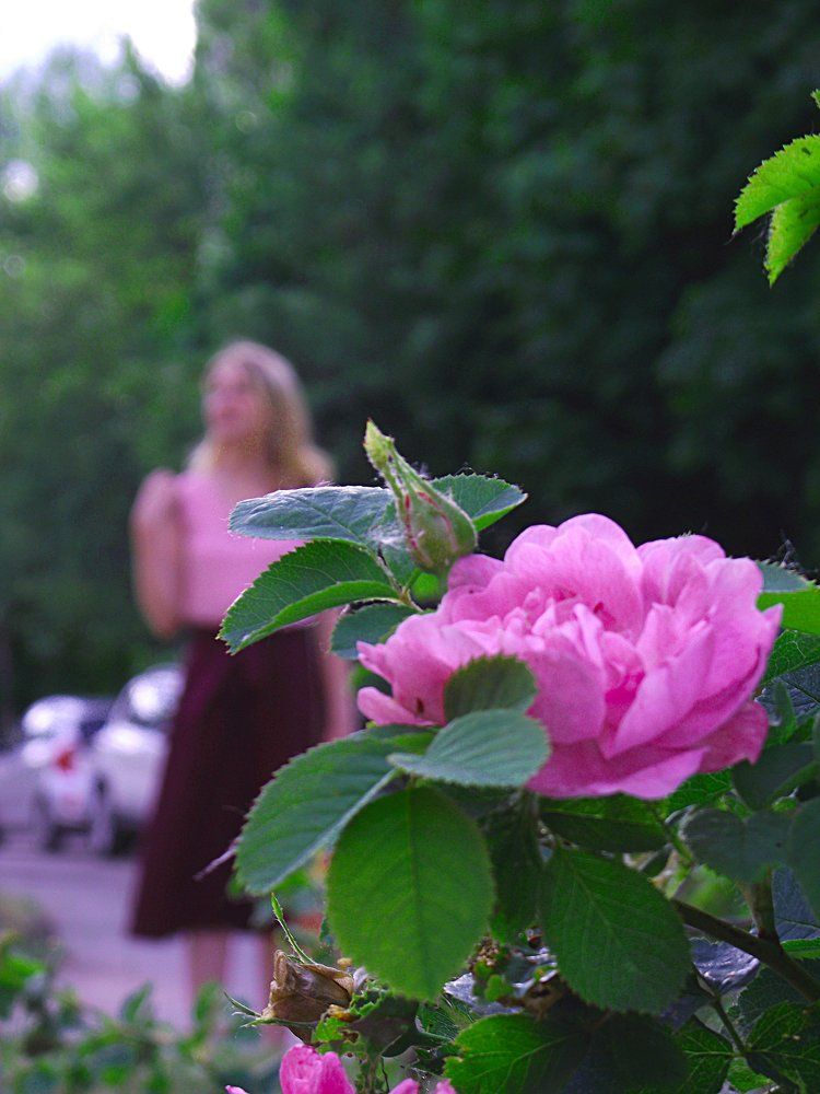 Роза и Роза