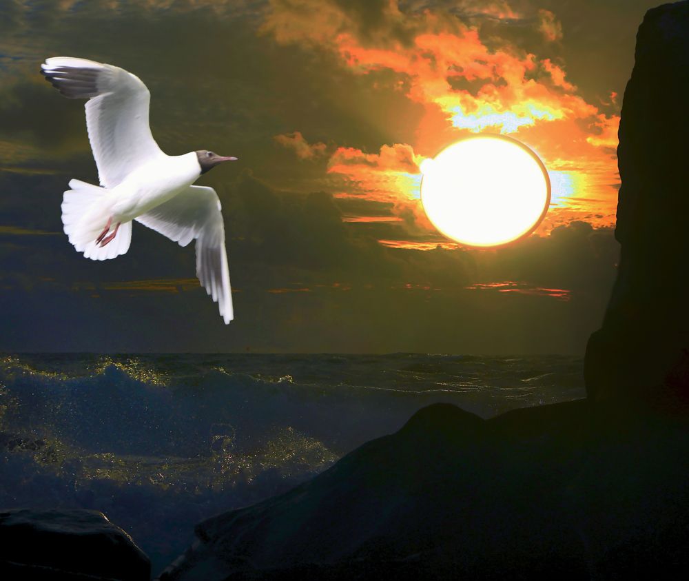 Над седой равниной моря...