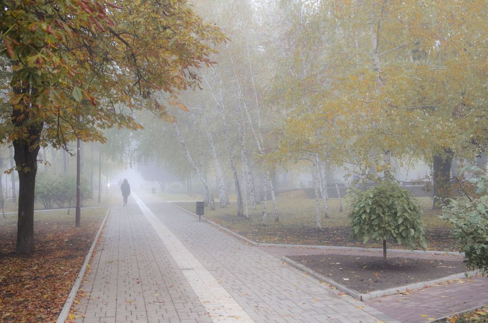 Осенние прогулки