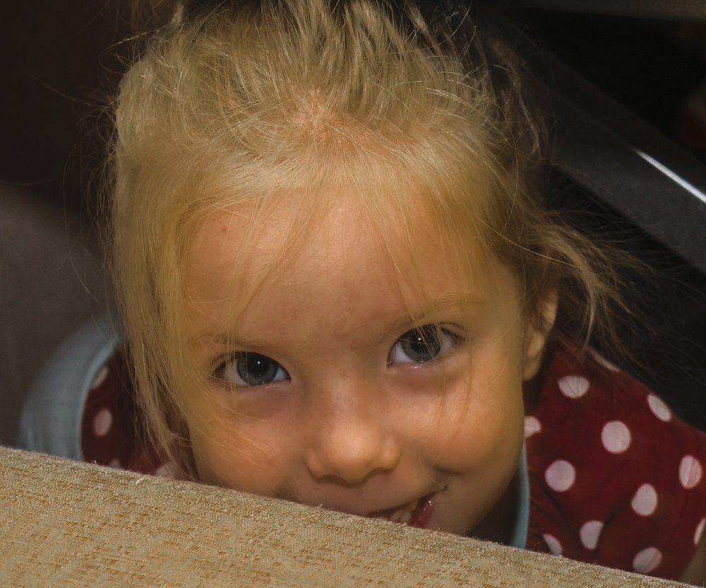 Из под стола