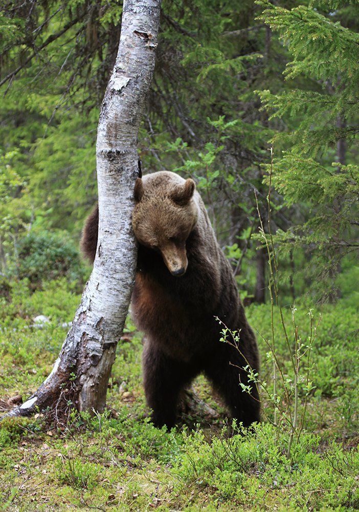 Ой, где был я вчера ...