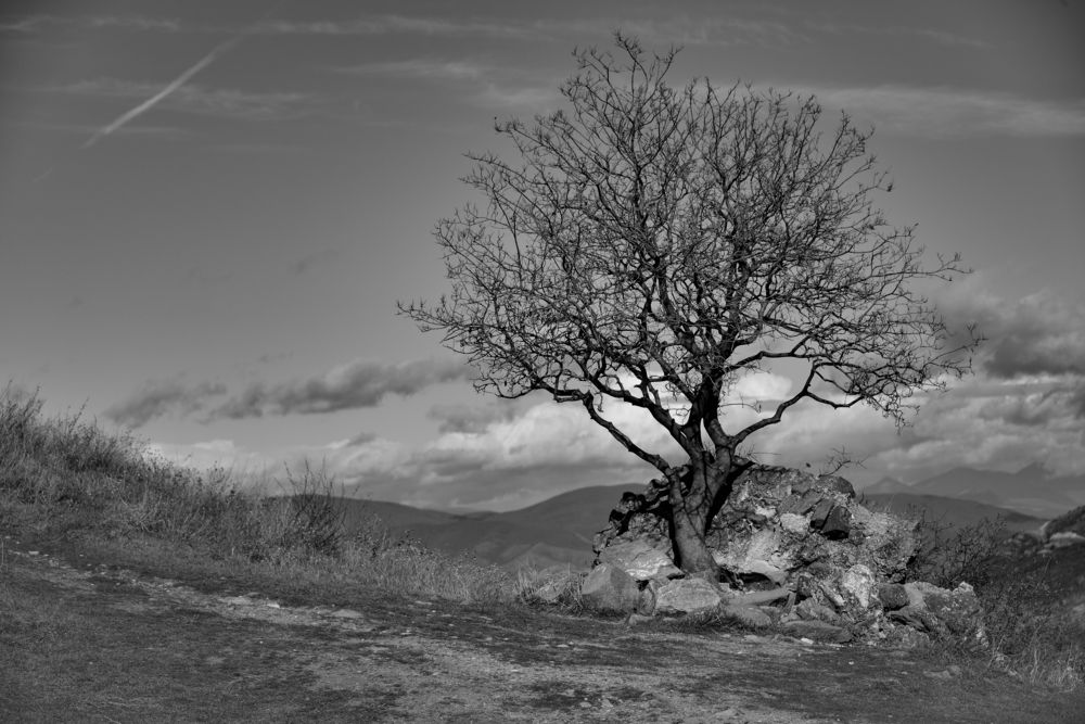 Photograph by Дмитрий Щелкунов