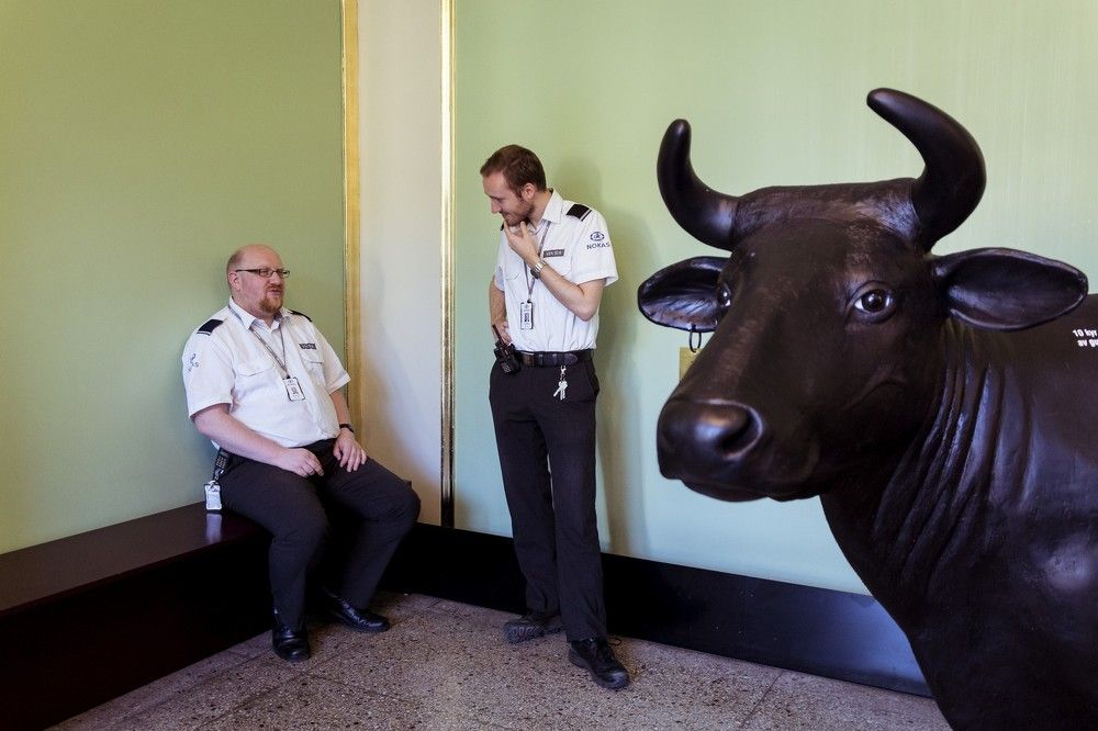 Cow's Bodyguards