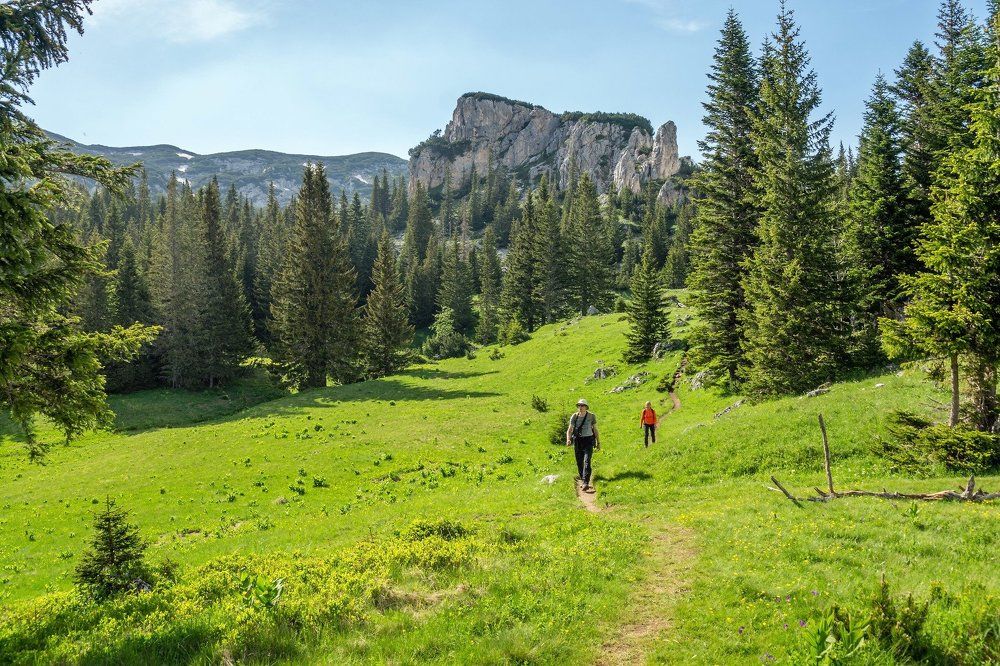 Photograph by Виктор Петров