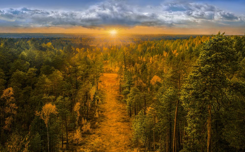 Осеняя дорога..