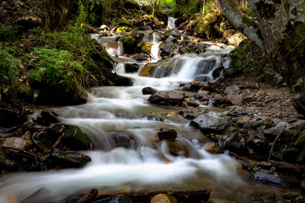 Photograph by Дмитрий Щелкунов