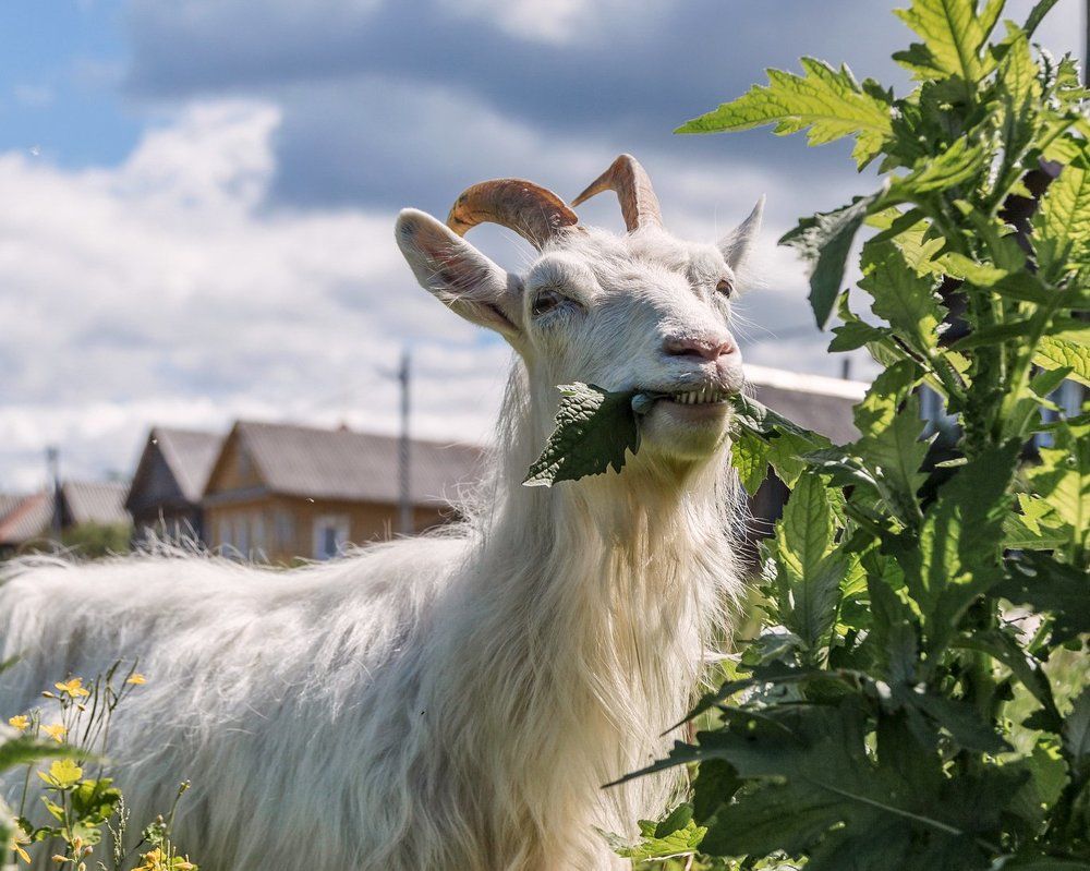 Photograph by Маргарита