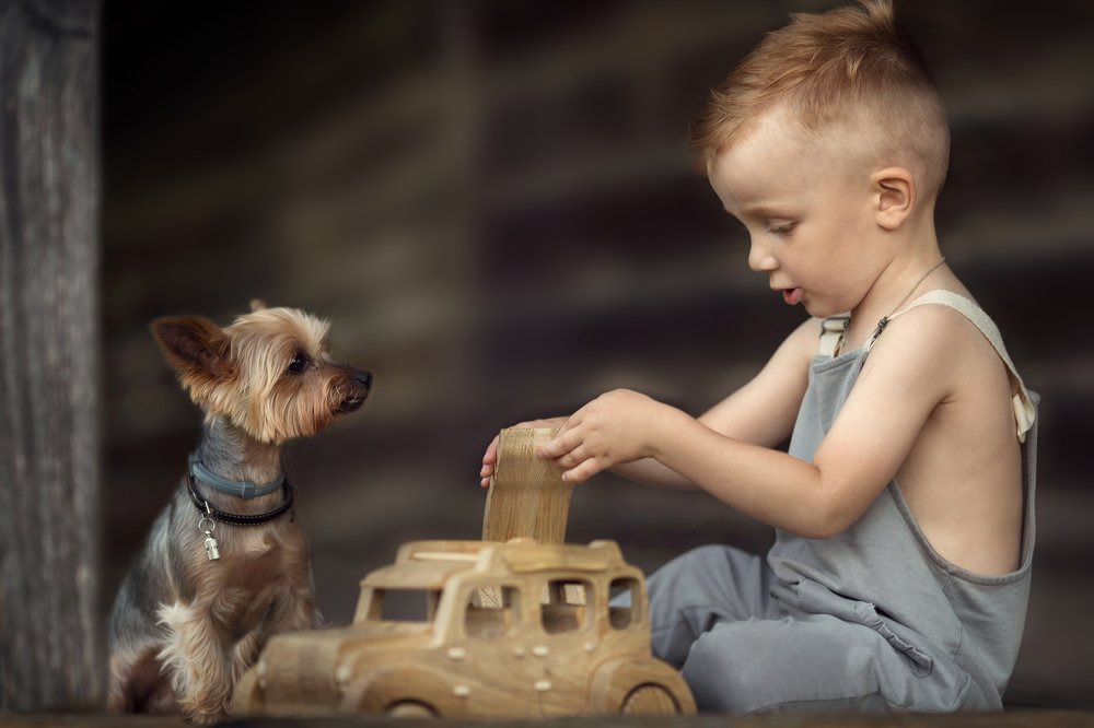 Photograph by Новицкая Татьяна