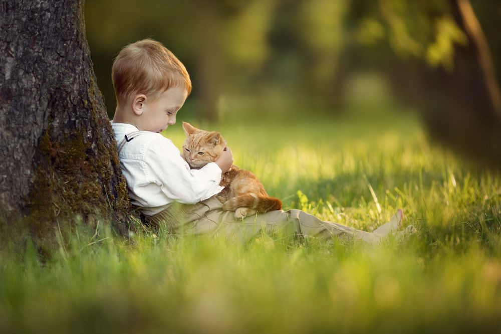 Photograph by Новицкая Татьяна