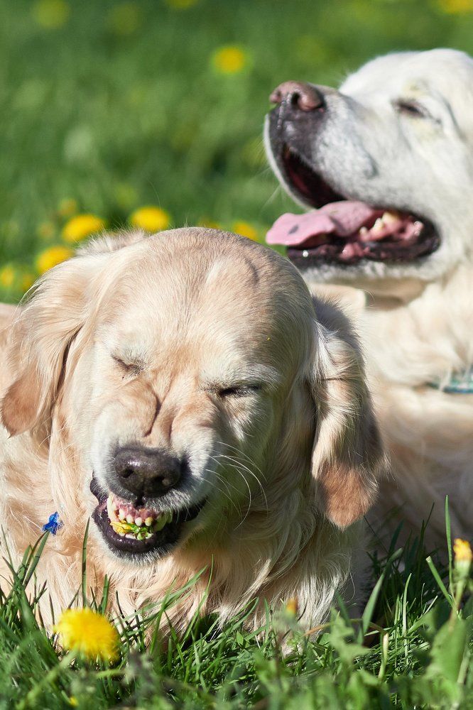 Photograph by Алексей Горшенин