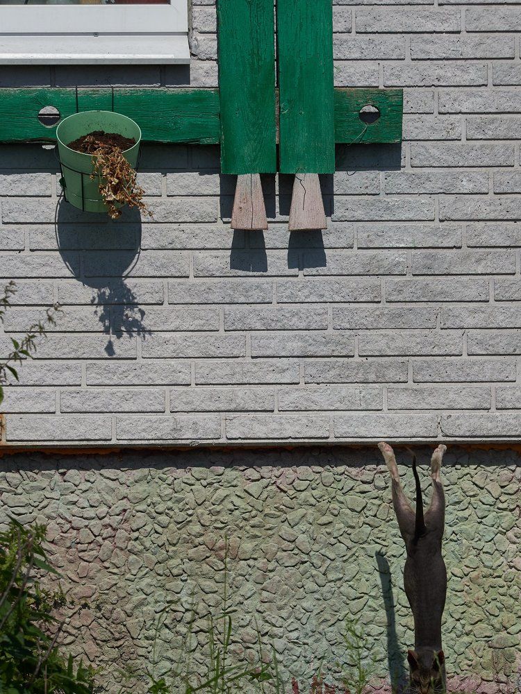 Photograph by Алексей Горшенин