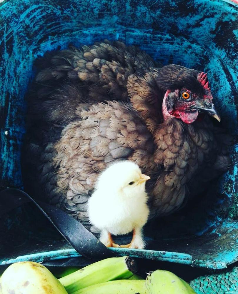 exploring a new world