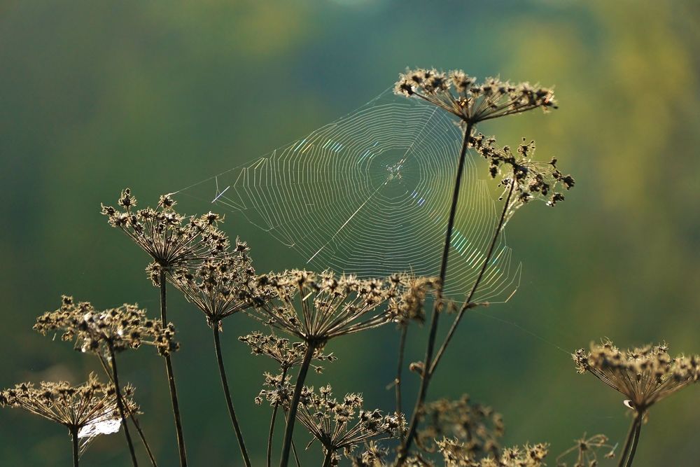 Photograph by Александр Попов