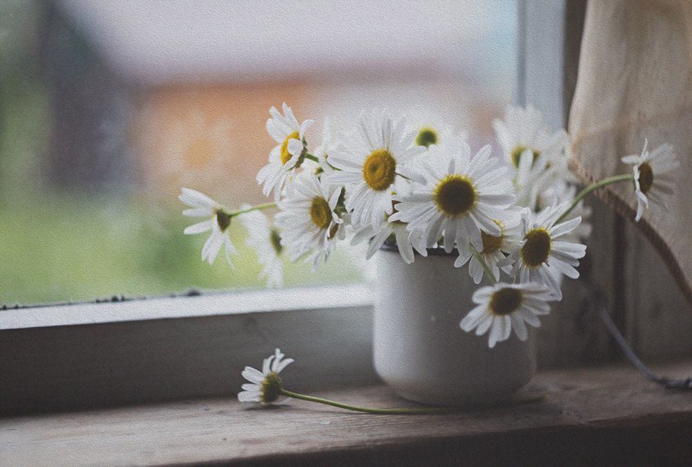 Дачное настроение