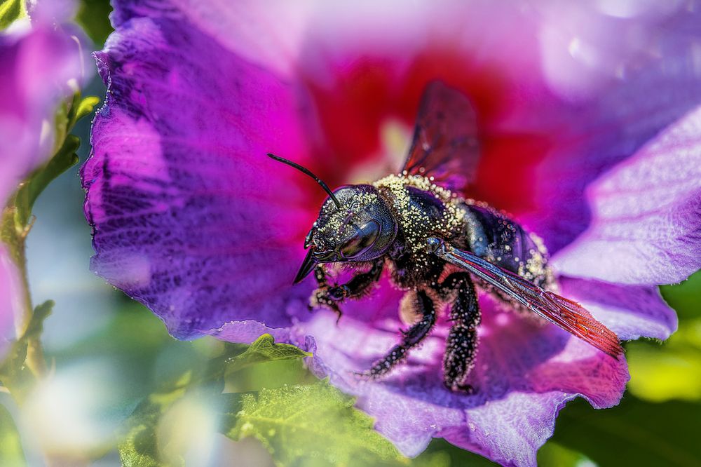 Фотография автора Dolli Pogrebnaya