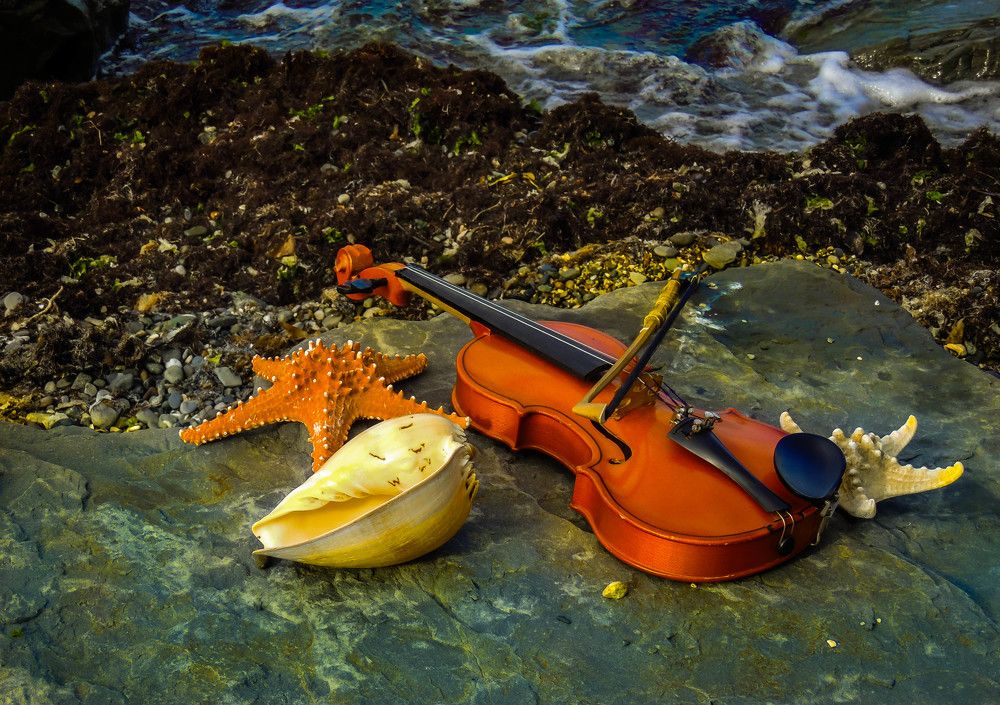 Морская симфония