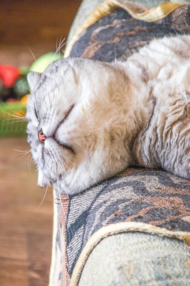 Photograph by Дмитрий Медянников