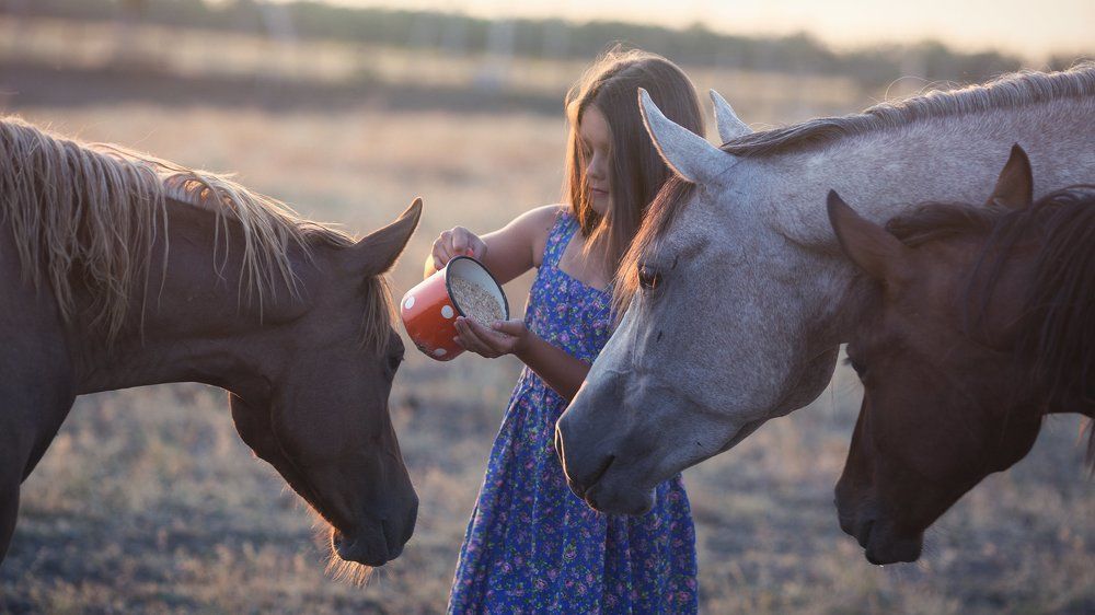 Лето в деревне