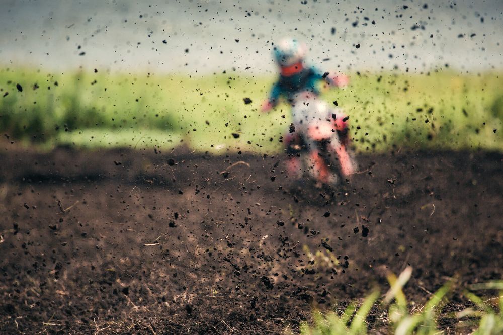 Сквозь тернии...