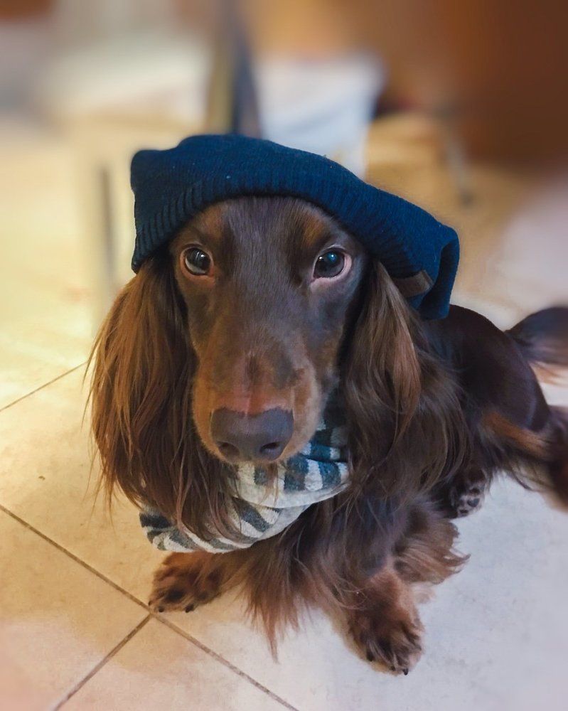 -Будет зима, Вы считаете? — Да, я считаю.