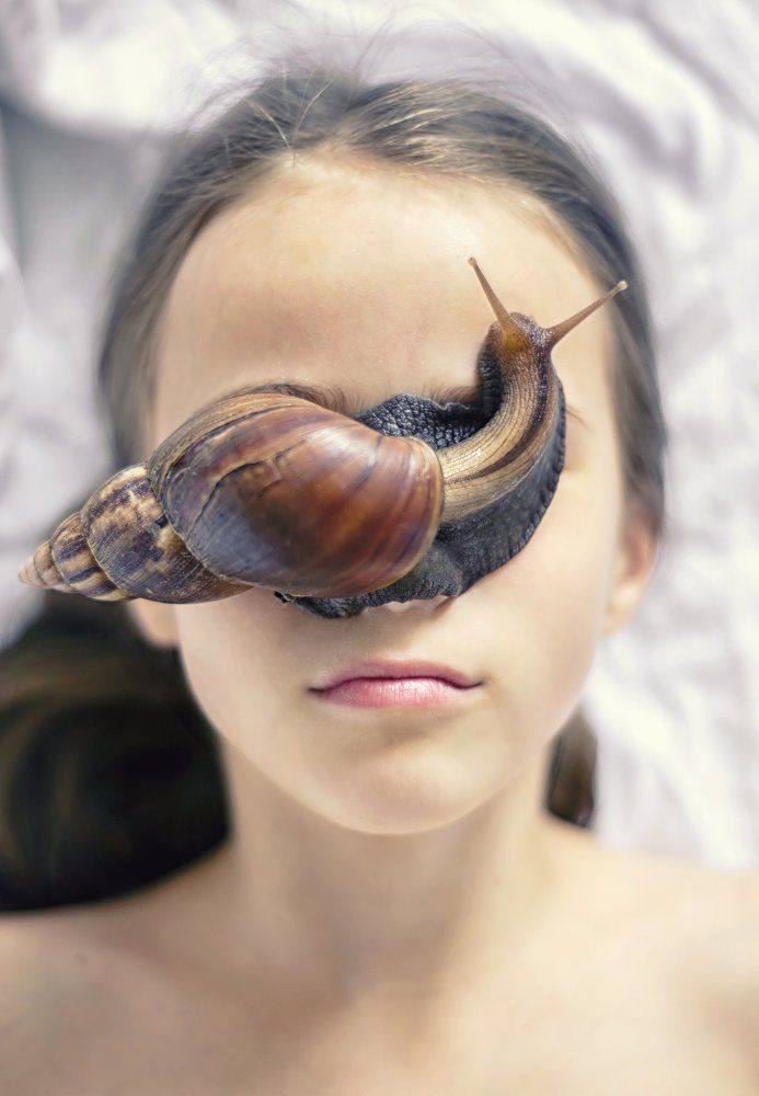 snail