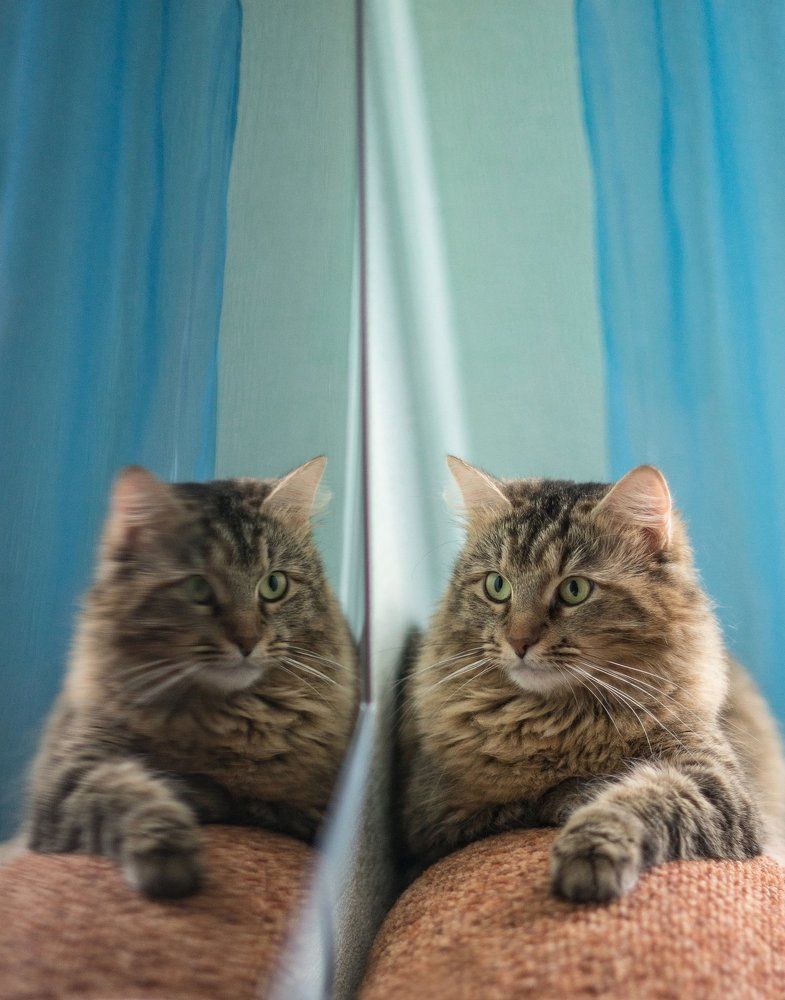 Другой мир...