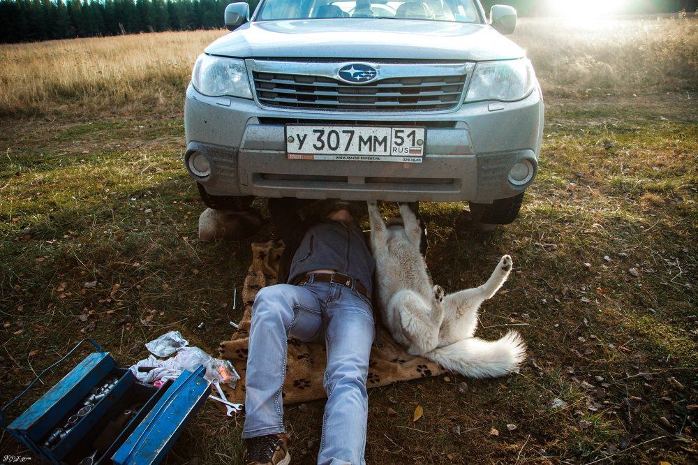 всегда рядом