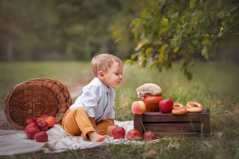 Лесной гость