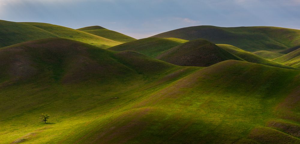 Фотография автора )I(yK