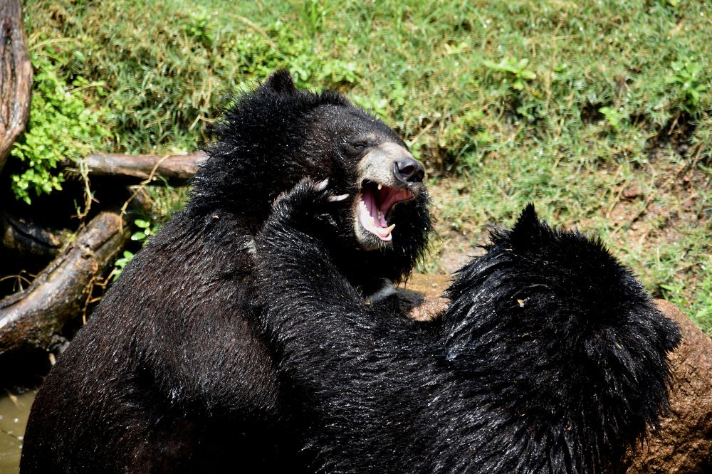 WE LOVE TO TRAIN EACH OTHER