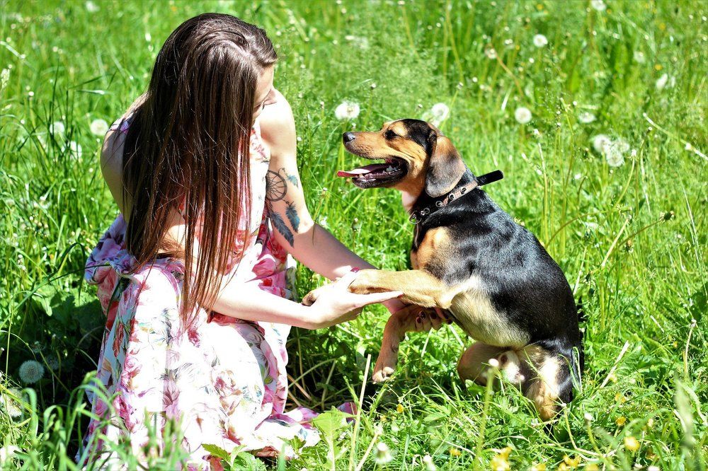 Оля и её любимица