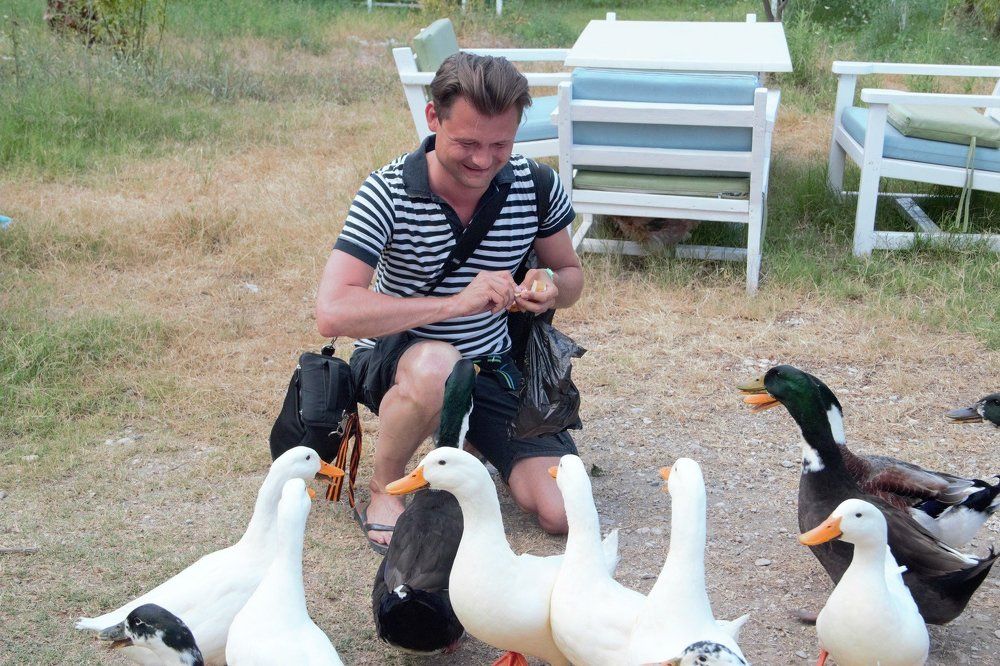 Кормление домашних уток)