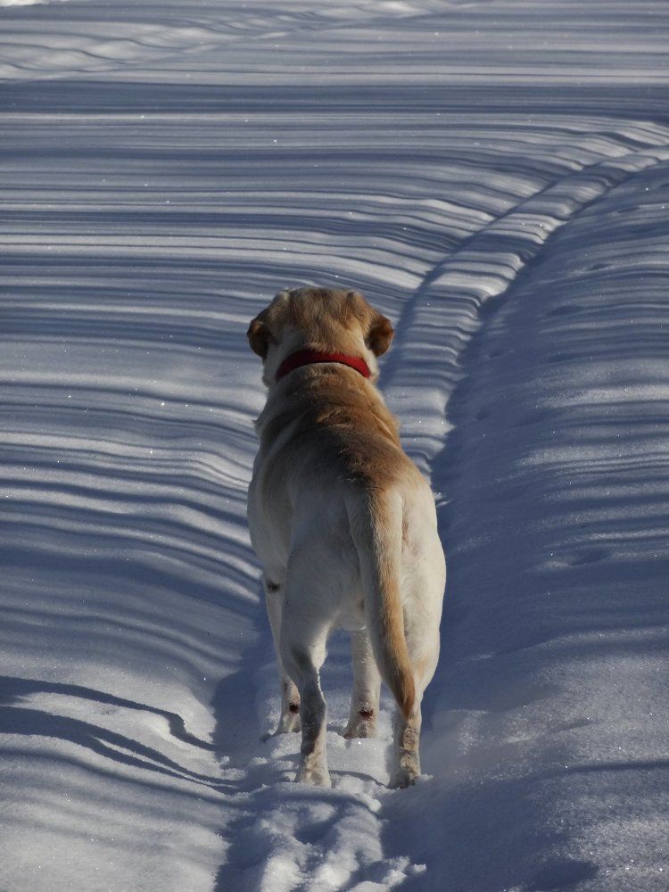 Photo #2553421