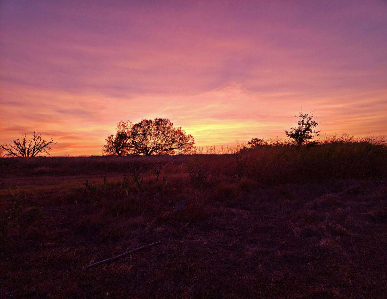 Small Town Country Living
