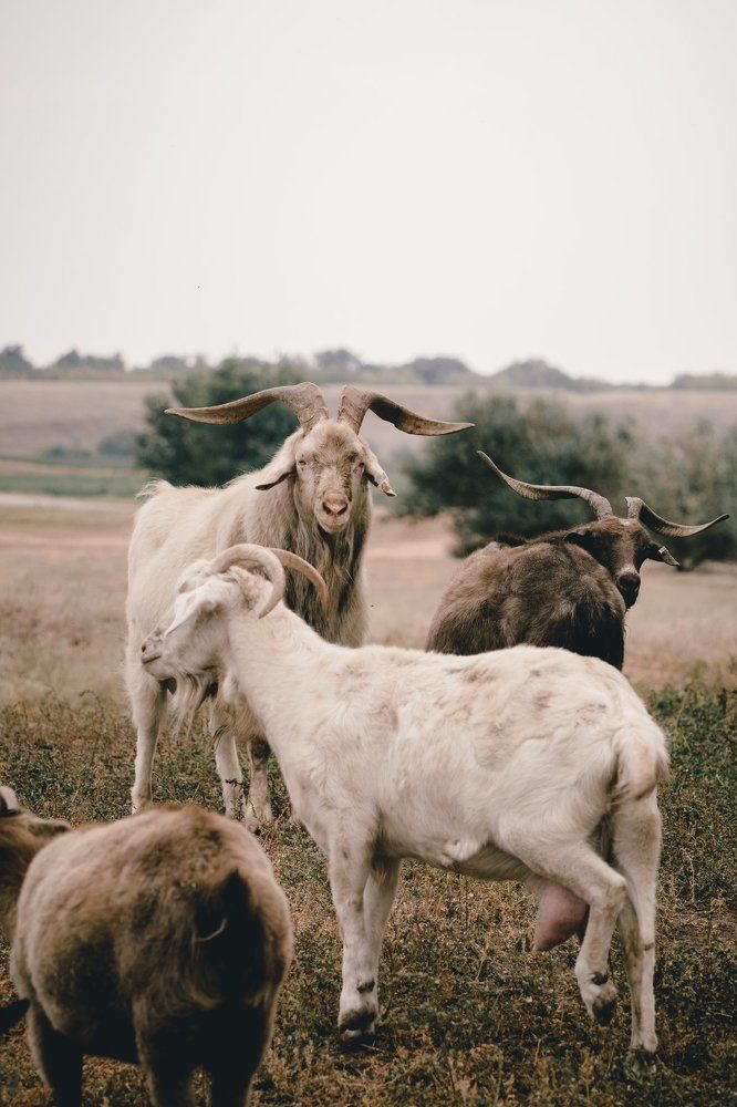 Взгляд настоящего мужчины